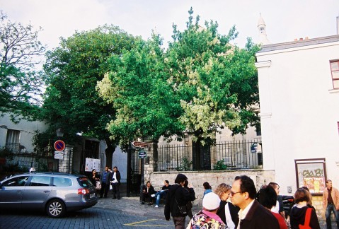 Montmartre I.