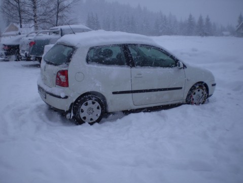Terepszín télen...